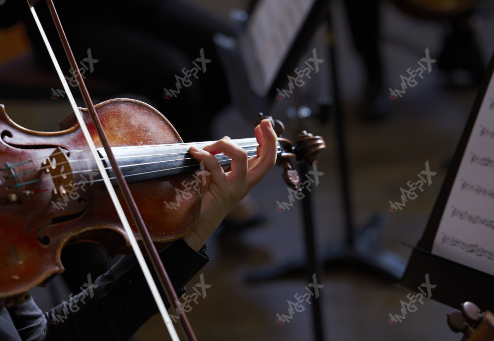 바이올린 연주회